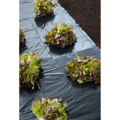 Nature Afdekzeil 50 Micron - Dekkleed - 3x4 m Zwart