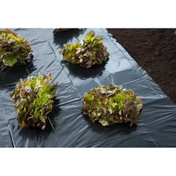 Nature Afdekzeil 50 Micron - Dekkleed - 3x4 m Zwart