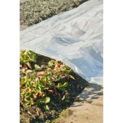 Nature Afdekzeil 200 Micron - Dekkleed - 3x4 m Transparant