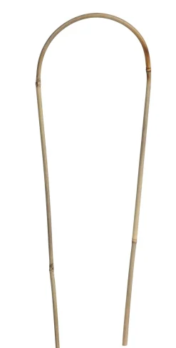 Nature Bamboestok Gebogen - Klim-En Geleide Artikel