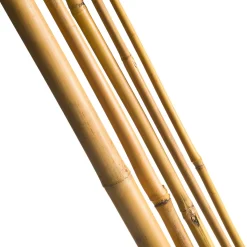 Nature Bamboestok Natural - Klim-En Geleide Artikel