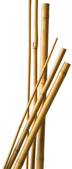 Nature Bamboestok Natural - Klim-En Geleide Artikel