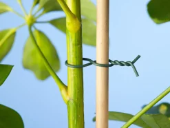 Nature Binddraad - Klim-En Geleide Artikel - 50 m Groen