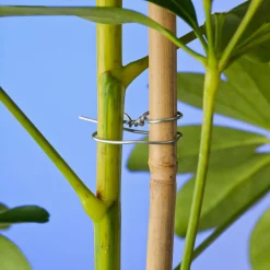 Nature Binddraad - Klim-En Geleide Artikel - 5.3x8.5x10.1 cm Verzinkt 50 M