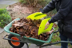 Nature Bladscheppen - Klim-En Geleide Artikel - 37x29.5 cm Groen