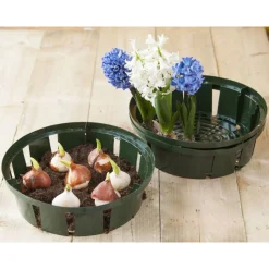 Nature Bollenplantmand - Kweekbenodigdheden - Ø36 cm Groen 3 stuks