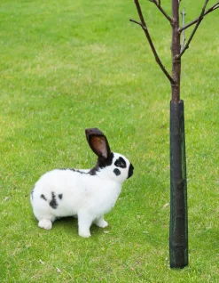 Nature Boombeschermers - Klim-En Geleide Artikel - 6x6x55 cm Zwart 4 stuks