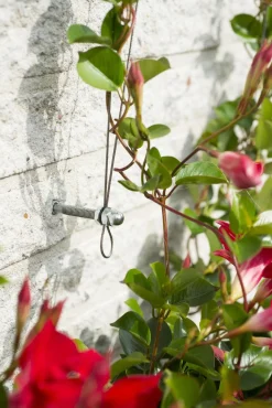 Nature Draadset Voor Klimplanten - Klim-En Geleide Artikel - 10 m Metaal Ø 1.8 Mm