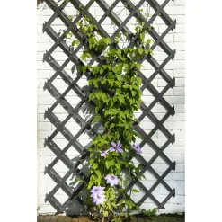 Nature Houten Klimrek - Klim-En Geleide Artikel - 100x200 cm Antraciet