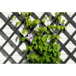 Nature Houten Klimrek - Klim-En Geleide Artikel - 50x15 cm Antraciet