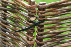 Nature Kabelbinders - Klim-En Geleide Artikel - 15 cm 25 stuks