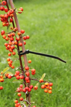 Nature Kabelbinders - Klim-En Geleide Artikel - 15 cm 25 stuks