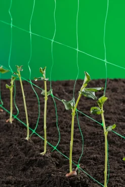 Nature Klim- Groei- En Geleidenet - Klim-En Geleide Artikel - 10x1 m Groen