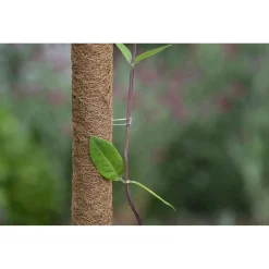 Nature Kokosplantstokkram - Kweekbenodigdheden - 10 stuks