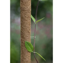 Nature Kokosplantstokkram - Kweekbenodigdheden - 10 stuks