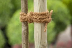 Nature Kokostouw - Klim-En Geleide Artikel - 15 m Natural