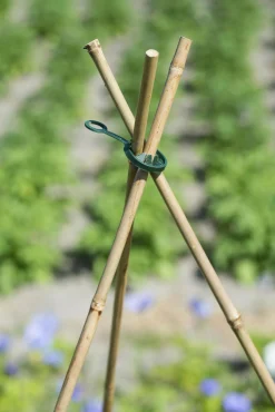 Nature Kunststof Ring Wigwamconstructie - Klim-En Geleide Artikel - 11 mm Groen 10 stuks