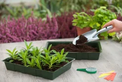 Nature Kweekbak - Kweekbakken - 35x23.5x5.5 cm Groen 5 stuks