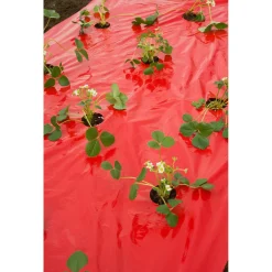 Nature Kweekfolie Aardbei - Groeifolie Gronddoek - 5x0.95 m Anti-Uv