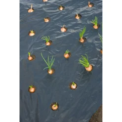 Nature Kweekfolie Kleine Groenten - Groeifolie Gronddoek - 5x0.95 m Zwart Anti-Uv