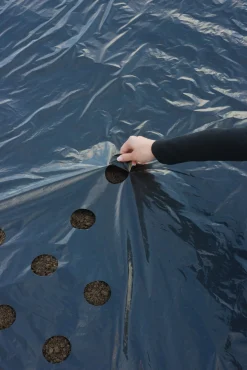 Nature Kweekfolie Universeel - Groeifolie Gronddoek - 5x0.95 m Zwart Anti-Uv