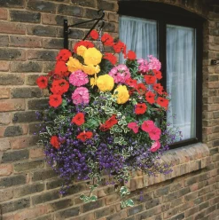 Nature Muurhaak - Ophangen En Haken - 35.2x28.7 cm Zwart