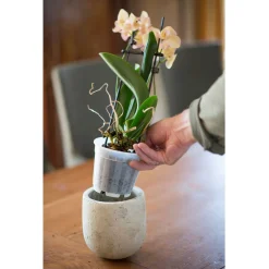 Nature Orchidee Pot Transparant Ø13cm - Kweekbenodigdheden - Ø13 cm Transparant