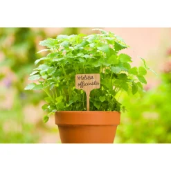 Nature Plaat Etiketten Bamboe - Kweekbenodigdheden - 5 stuks