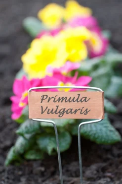 Nature Plaatetiketten - Kweekbenodigdheden - 0.2x6.2x26 cm Koper 6 stuks