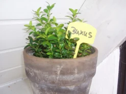 Nature Plaatetiketten - Kweekbenodigdheden - 0.2x5.5x12.5 cm Geel 10 stuks