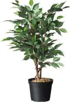 Nature Plantcontainer Zwart - Kweekbenodigdheden