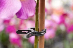 Nature Plantenclip - Klim-En Geleide Artikel - 0.5x3x4.3 cm Groen 10 stuks Ø 24mm