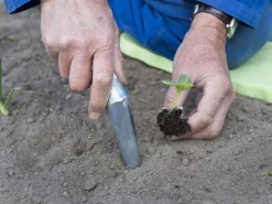 Nature Pootstok - Kweekbenodigdheden - 14.2x24.7x3.4 cm Zink