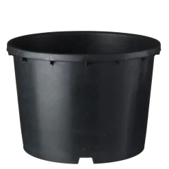 Nature Ritzi Container Zwart - Kweekbenodigdheden