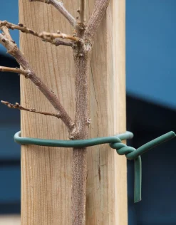 Nature Rubberband - Klim-En Geleide Artikel - 4.2x10x16.5 cm Groen 10 M