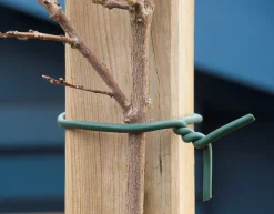 Nature Rubberband - Klim-En Geleide Artikel - 4.2x10x16.5 cm Groen 10 M