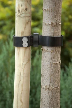 Nature Spijkerboomband - Klim-En Geleide Artikel - 90x3.8x0.2 cm Zwart