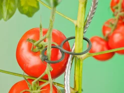 Nature Tomatenplantringen - Klim-En Geleide Artikel - 0.3x4.4x6.5 cm Donkergroen 25 stuks