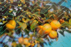 Nature Tuinnet Mono Groen - Kweekbenodigdheden