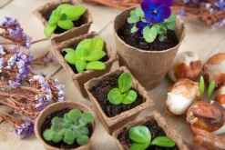 Nature Turfpot - Kweekbenodigdheden