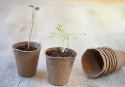 Nature Turfpot - Kweekbenodigdheden