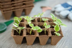 Nature Turfpottrays - Kweekbenodigdheden