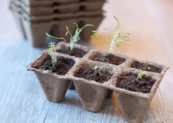 Nature Turfpottrays - Kweekbenodigdheden