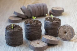 Nature Turftabletten - Kweekbenodigdheden - 3.5x3.5x0.7 cm 48 stuks