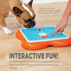 Nina Ottosson Challenge Slider Snack Puzzel - Hondenspeelgoed - 38x38x5 cm Oranje Blauw Level 3