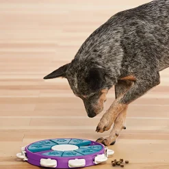 Nina Ottosson Dog Twister Prp Snack Puzzel - Hondenspeelgoed - Ø30x30x30 cm Paars Level 3