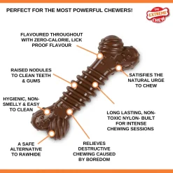 Nylabone Dura Chew Power Flavor Medley - Hondenspeelgoed - Bruin Voor Honden Tot 23kg Xl