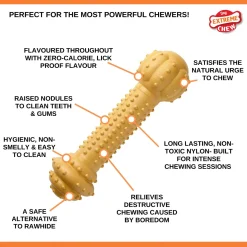 Nylabone Dura Chew Power Peanut Butter - Hondenspeelgoed - Pindakaas Bruin Voor Honden Tot 23kg L