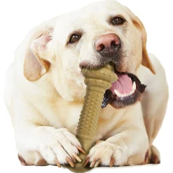 Nylabone Dura Chew Power Peanut Butter - Hondenspeelgoed - Pindakaas Bruin Voor Honden Tot 23kg L