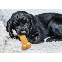 Nylabone Durable Bone Bacon Bacon - Hondenspeelgoed